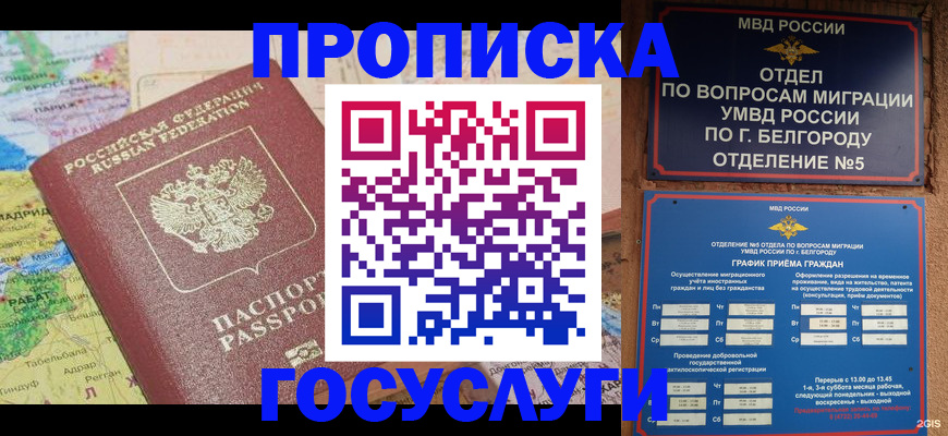 прописка регистрация в Нелидово